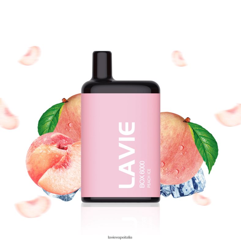 LAVIE BOX 6000 sbuffi ghiaccio alla pesca R60DF6200 - Lavie Puffs