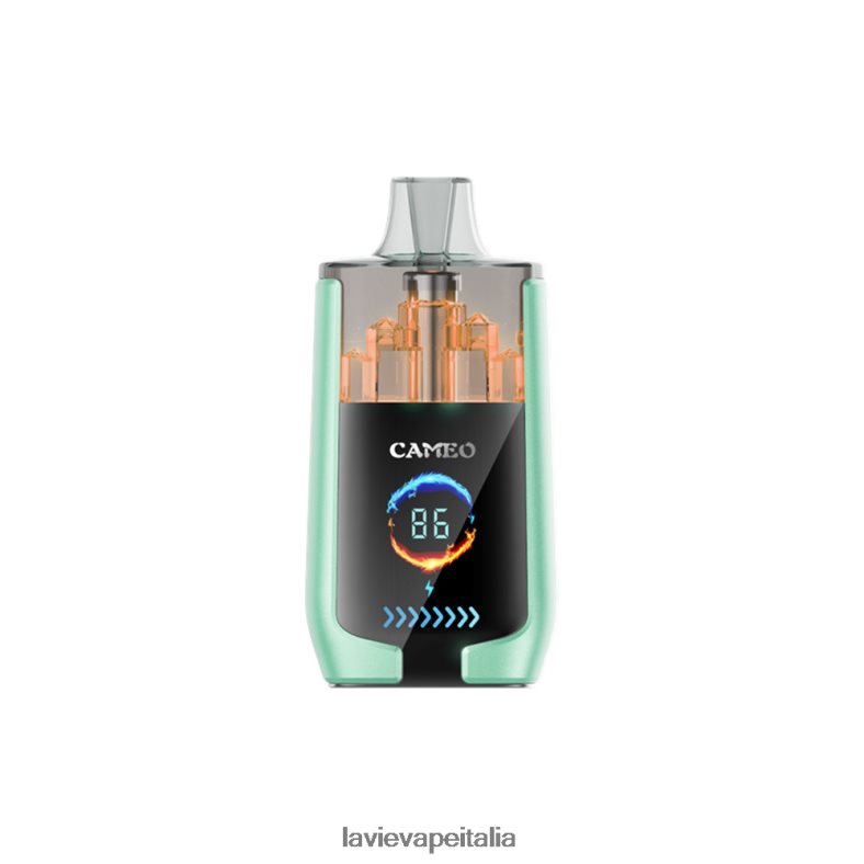 LAVIE CAMEO 30000 sbuffi doppia mela R60DF620 - Lavie Puffs