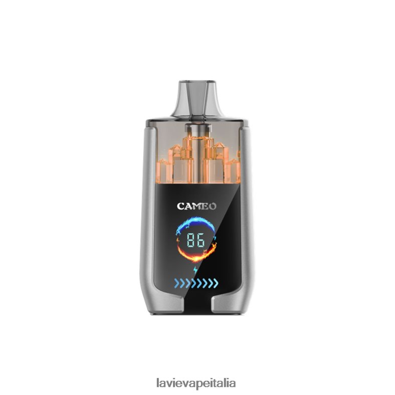 LAVIE CAMEO 30000 sbuffi ghiaccio al mirtillo R60DF615 - Lavie Vape Reddit