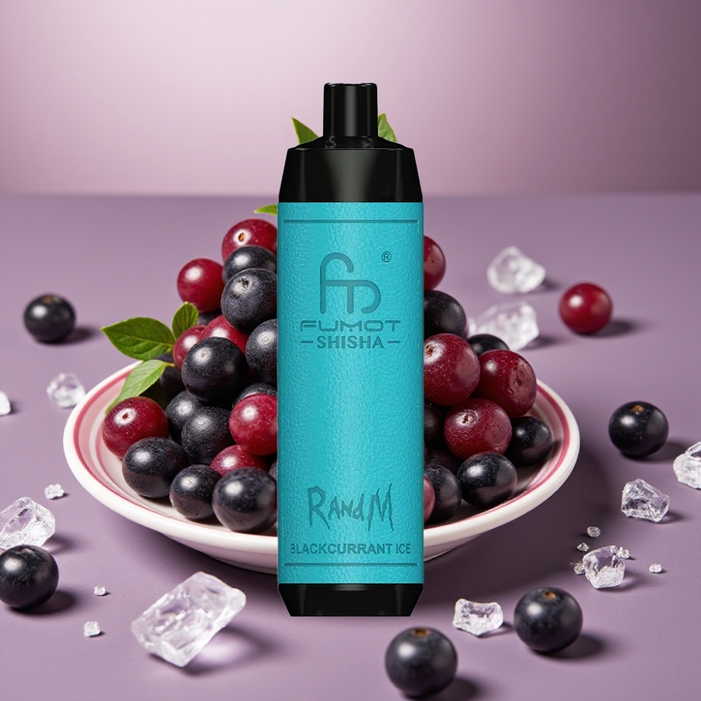 RandM Fumot Shisha 10000 Puff E-Liquid 18ml Blackcurrant Ghiaccio Tipo-C 850mAh