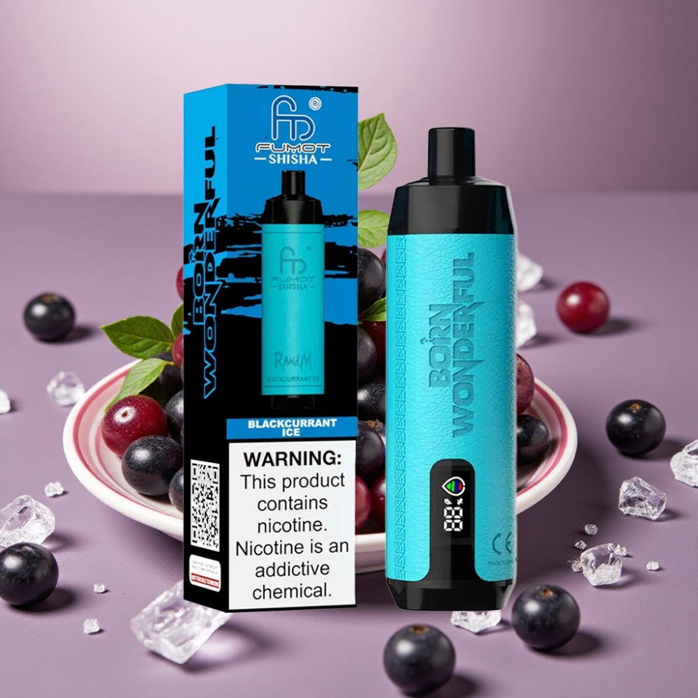 RandM Fumot Shisha 10000 Puff E-Liquid 18ml Blackcurrant Ghiaccio Tipo-C 850mAh