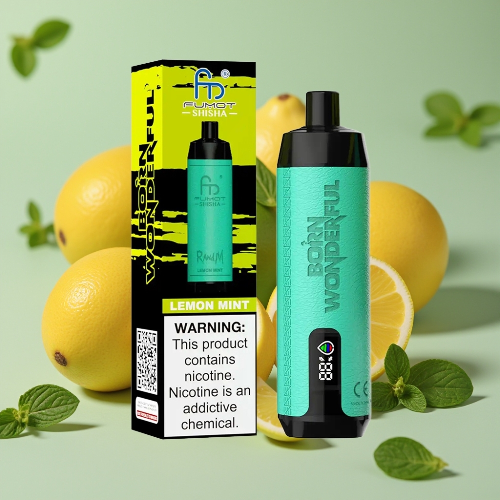 RandM Fumot Shisha 10000 Puff Ricarica USB-C Limone Menta Mesh 06ohm